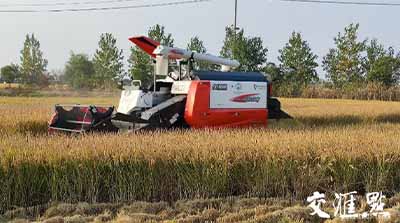 移動(dòng)物聯(lián)網(wǎng)應(yīng)用①｜手機(jī)上種田，無人化種田！智慧農(nóng)場(chǎng)“智”在哪？